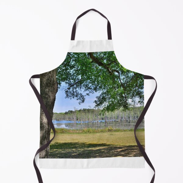Item preview, A View Of Mill Pond At Goodale State Park Camden SC designed and sold by LisaWootenPhoto.