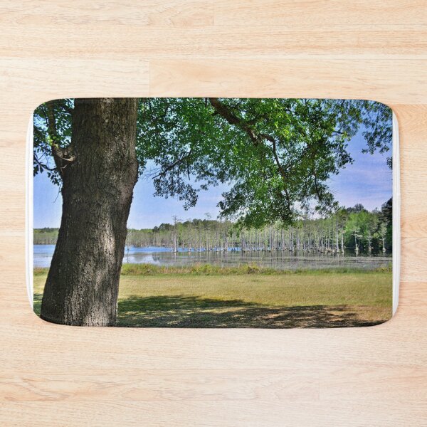 Item preview, A View Of Mill Pond At Goodale State Park Camden SC designed and sold by LisaWootenPhoto.