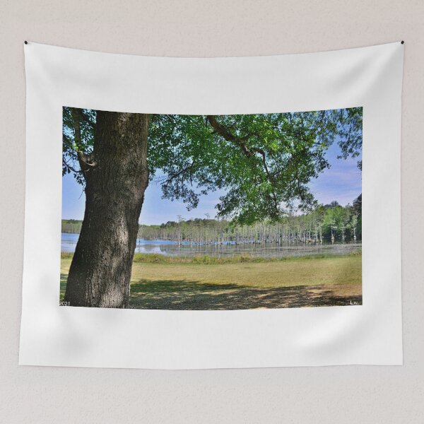 Item preview, A View Of Mill Pond At Goodale State Park Camden SC designed and sold by LisaWootenPhoto.