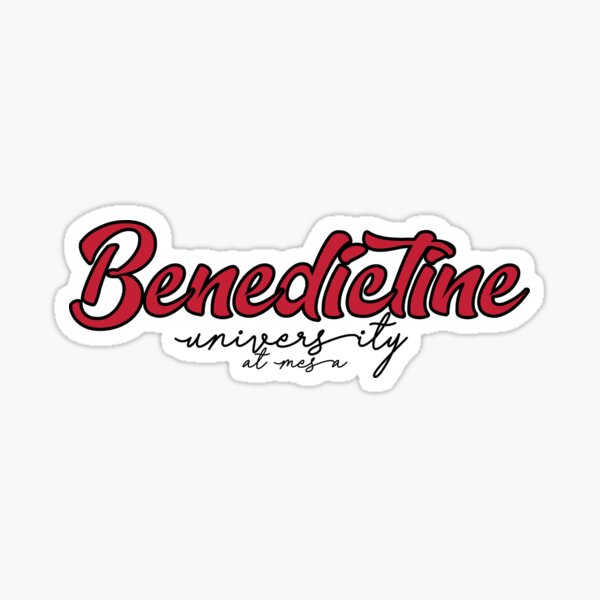 Benedictine Mesa RedHawks United States of America Active T-Shirt | Redbubble