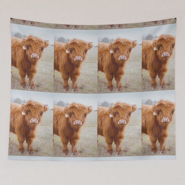 Item preview, Highland Cattle of The Midwest designed and sold by RossmanPhoto.
