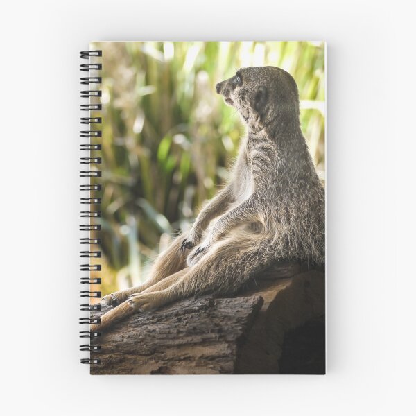 Item preview, Even a Meerkat needs a rest designed and sold by RGKphotos.