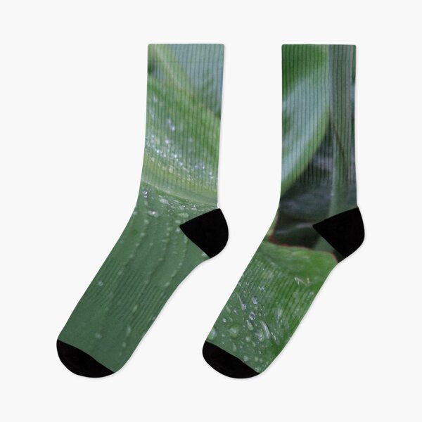 Item preview, Wet Banana Leaf designed and sold by Crystaliii.