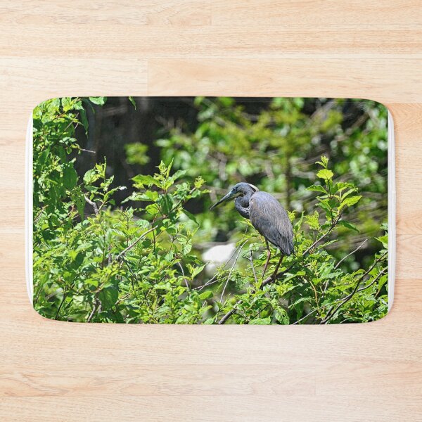Item preview, A Perched Little Blue Heron designed and sold by LisaWootenPhoto.