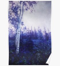Wander trough the foggy forest Poster