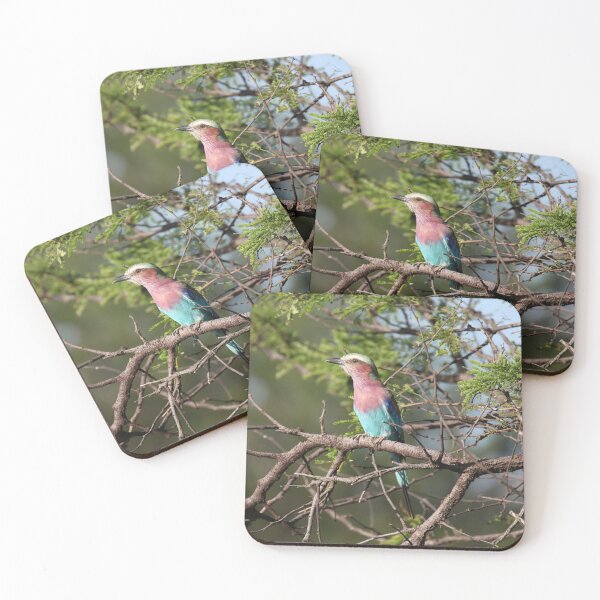 Item preview, Lilac Breasted Roller designed and sold by John Brice.