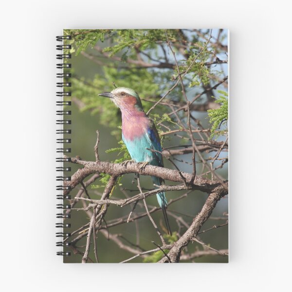 Item preview, Lilac Breasted Roller designed and sold by John Brice.