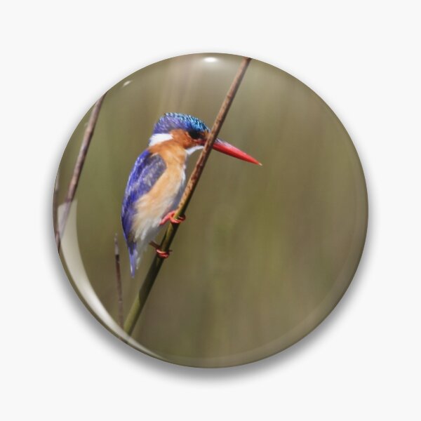 Item preview, Malachite Kingfisher designed and sold by John Brice.
