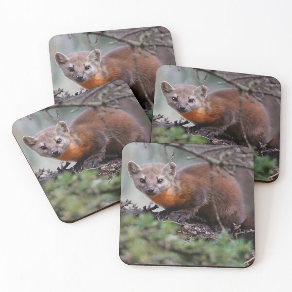 Item preview, The Elusive Pine Marten designed and sold by John Brice.
