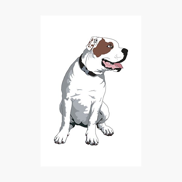 Artikel-Vorschau von amerikanische Bulldoggenliebhaber, designt und verkauft von zaher97.