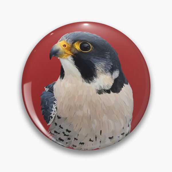 Item preview, Peregrine falcon designed and sold by sibosssr.