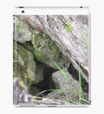 Hidden Mystery iPad Case/Skin
