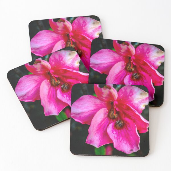 Item preview, Pink Azalea with Snails--or why I can't grow basil designed and sold by Bryan Spellman.