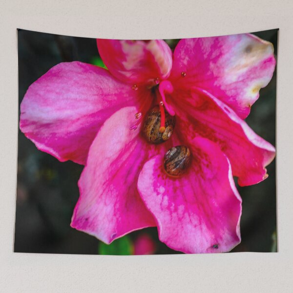 Item preview, Pink Azalea with Snails--or why I can't grow basil designed and sold by Bryan Spellman.
