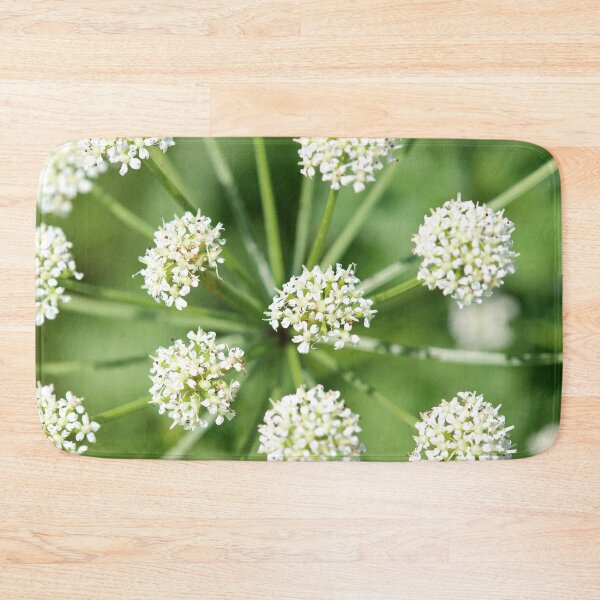 Item preview, Umbellifers designed and sold by GreyFeatherPhot.