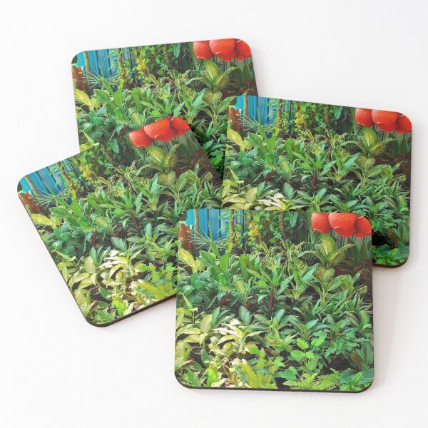 Item preview, Plant Nursery. House Plants Photography.  designed and sold by TheGoToStore.