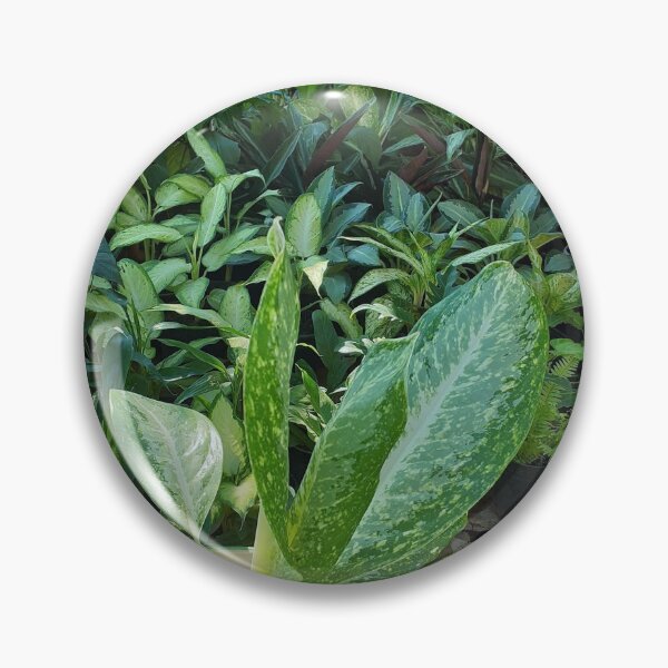 Item preview, Plant Nursery. House Plants Photography.  designed and sold by TheGoToStore.