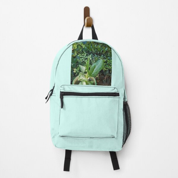 Item preview, Plant Nursery. House Plants Photography. designed and sold by TheGoToStore.