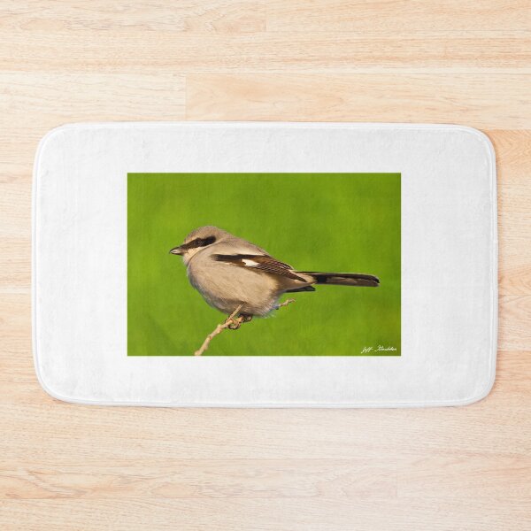 Item preview, Loggerhead Shrike designed and sold by Jeff Goulden Photography.