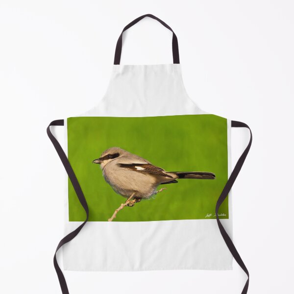 Item preview, Loggerhead Shrike designed and sold by Jeff Goulden Photography.