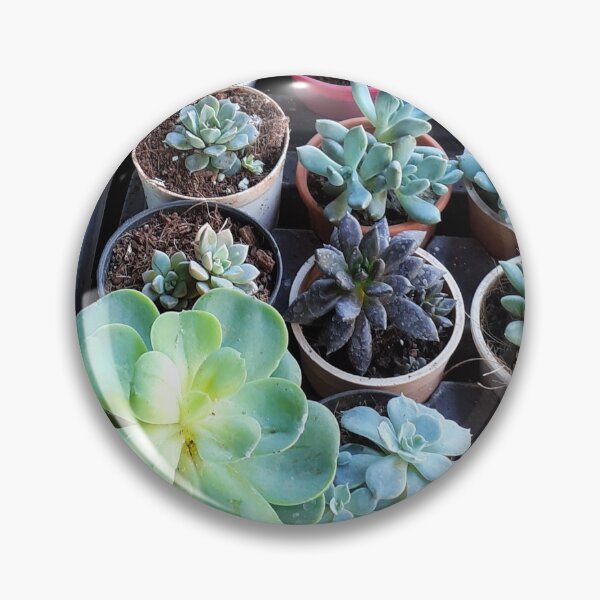 Item preview, Plant Nursery. House Plants Photography.  designed and sold by TheGoToStore.