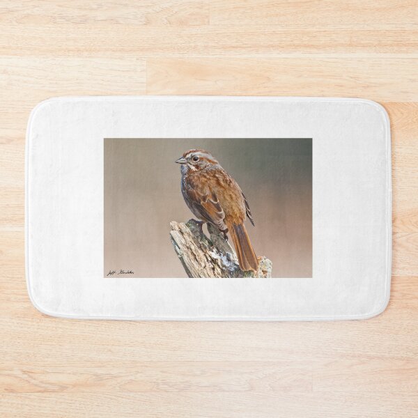 Item preview, Song Sparrow on a Driftwood Perch designed and sold by Jeff Goulden Photography.