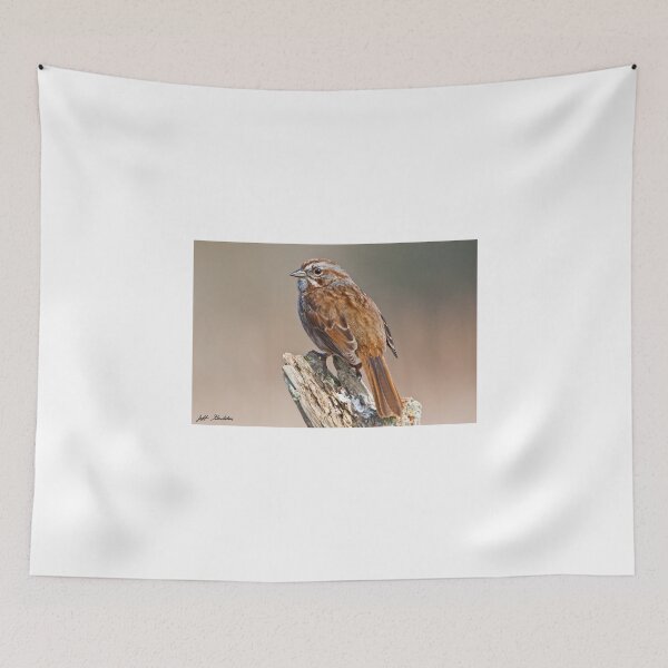 Item preview, Song Sparrow on a Driftwood Perch designed and sold by Jeff Goulden Photography.