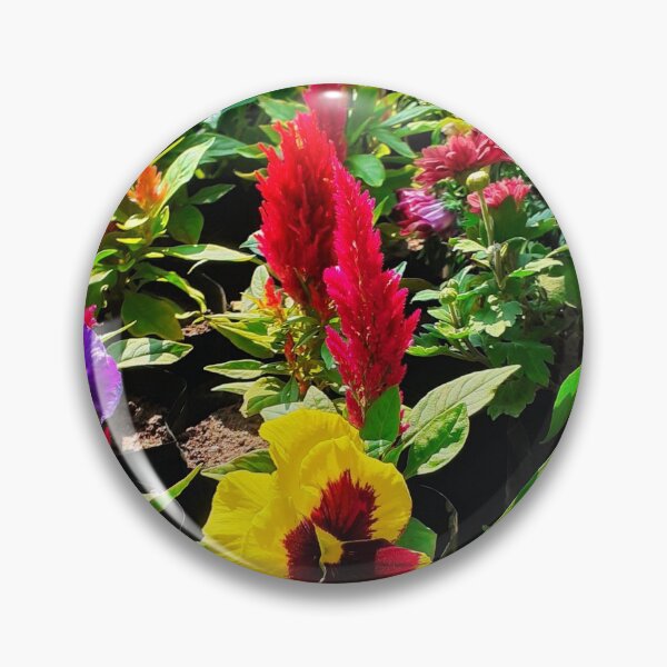Item preview, Plant Nursery. Flowers. House Plants Photography.  designed and sold by TheGoToStore.