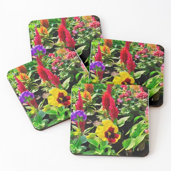 Item preview, Plant Nursery. Flowers. House Plants Photography.  designed and sold by TheGoToStore.