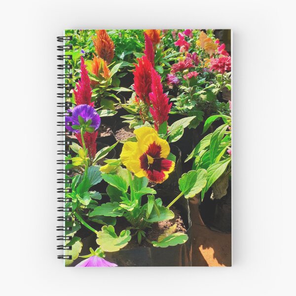 Item preview, Plant Nursery. Flowers. House Plants Photography.  designed and sold by TheGoToStore.