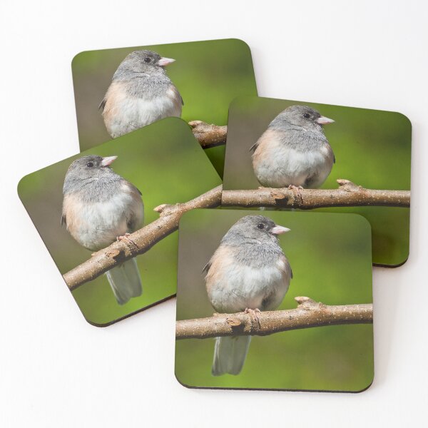 Item preview, Dark Eyed Junco Perched on a Branch designed and sold by Jeff Goulden Photography.