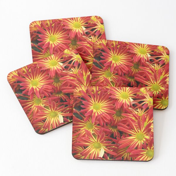 Item preview, Firecracker Flower designed and sold by BubbyBean.