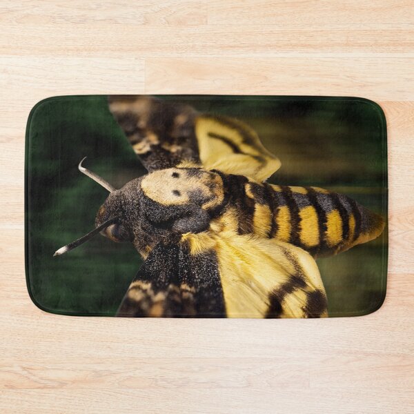 Item preview, Deaths Head Hawk Moth Macro designed and sold by Weston  Westmoreland.