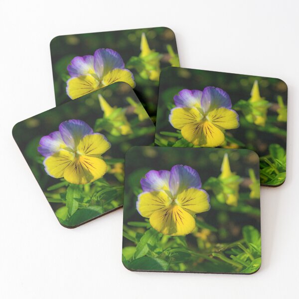 Item preview, Pansy bloom designed and sold by CanadianWild418.