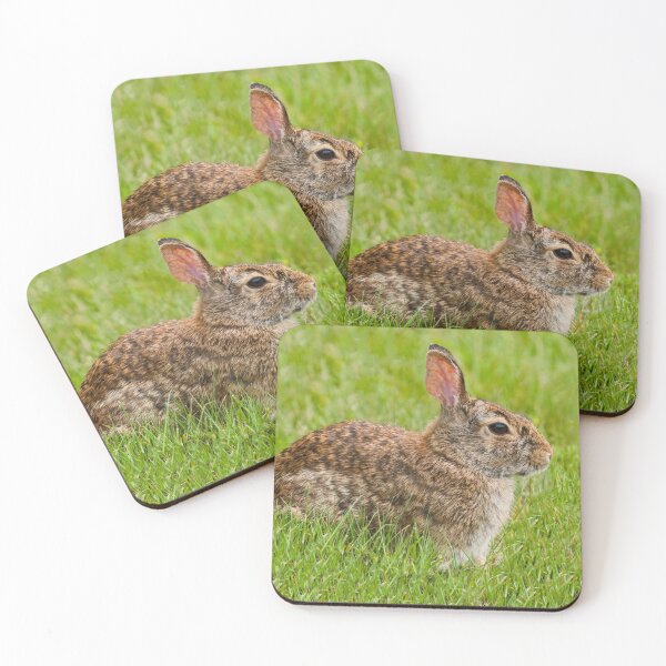 Item preview, Rabbit in a Grassy Meadow designed and sold by Jeff Goulden Photography.