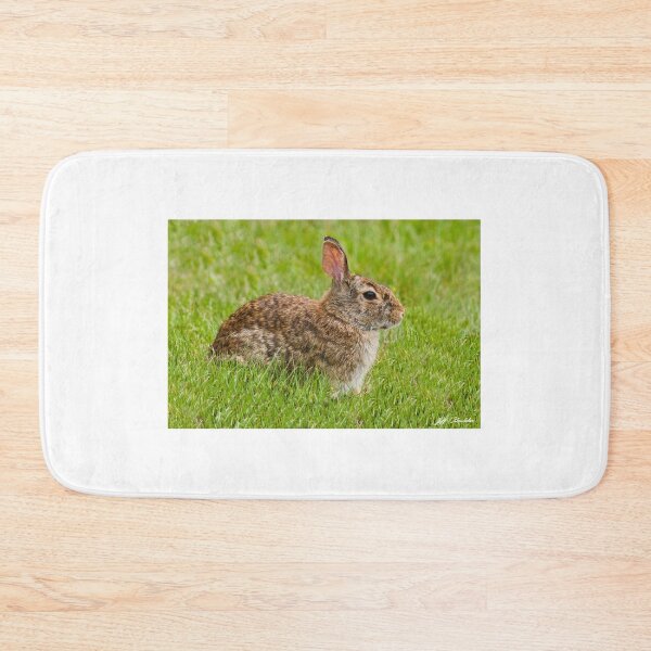 Item preview, Rabbit in a Grassy Meadow designed and sold by Jeff Goulden Photography.