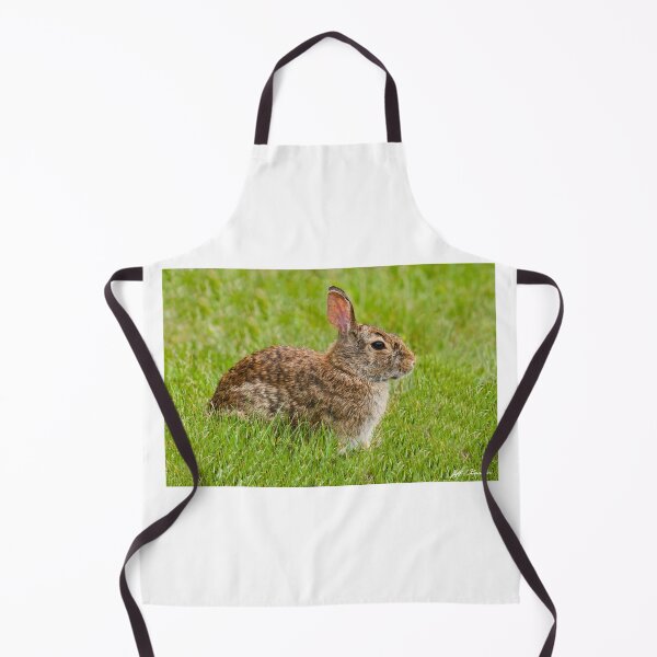 Item preview, Rabbit in a Grassy Meadow designed and sold by Jeff Goulden Photography.