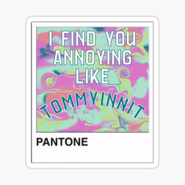 Tommyinnit: Annoying At First