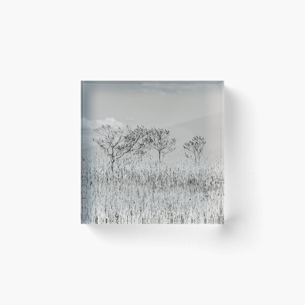 Item preview, Virginia Rice Field Blowing in the Winds designed and sold by nbrandsberg.