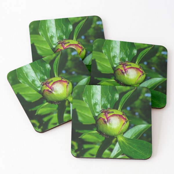 Item preview, Peony bud and ants designed and sold by CanadianWild418.