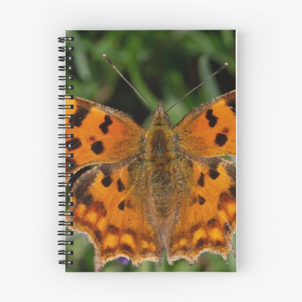 Item preview, Comma Butterfly designed and sold by GingerMan2550.