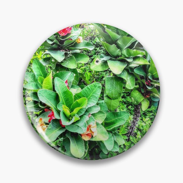 Item preview, Lush tropical garden designed and sold by artbyomega.
