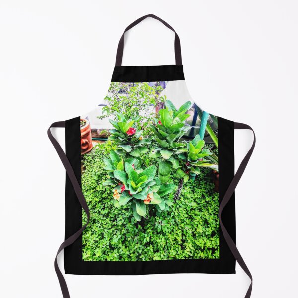 Item preview, Lush tropical garden designed and sold by artbyomega.