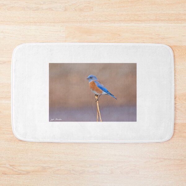 Item preview, Male Western Bluebird Perched on a Stalk designed and sold by Jeff Goulden Photography.