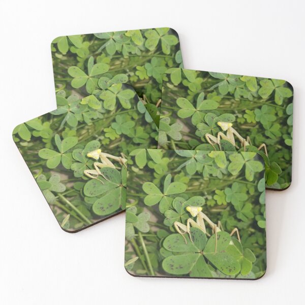 Item preview, Praying in the clovers designed and sold by ET Finn.