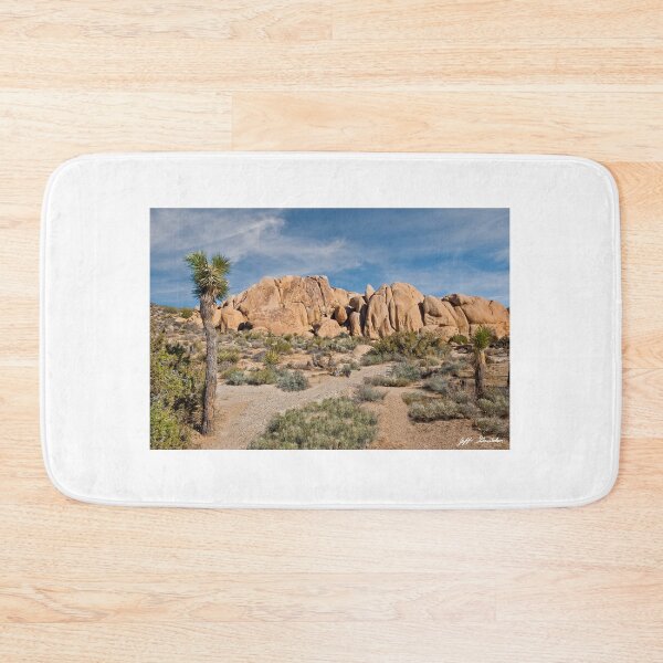 Item preview, Gneiss Rock Formation and Joshua Tree designed and sold by Jeff Goulden Photography.