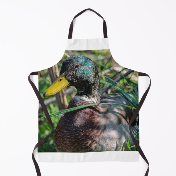 Item preview, Male Mallard Wildlife Photography Photo designed and sold by ASWildlifePhoto.