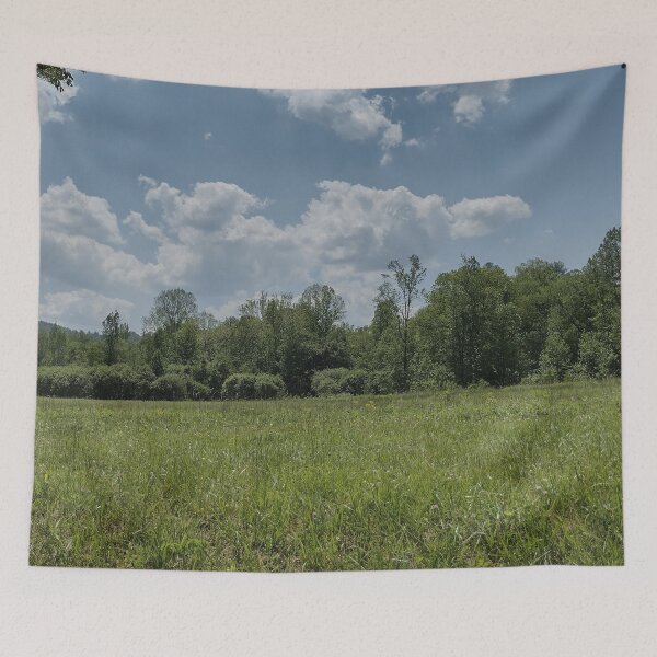 Item preview, Field and Clouds in Cades Cove designed and sold by magicbyrc.