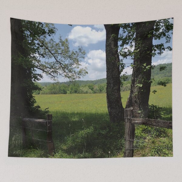 Item preview, Trees and fence by a field in Cades Cove designed and sold by magicbyrc.