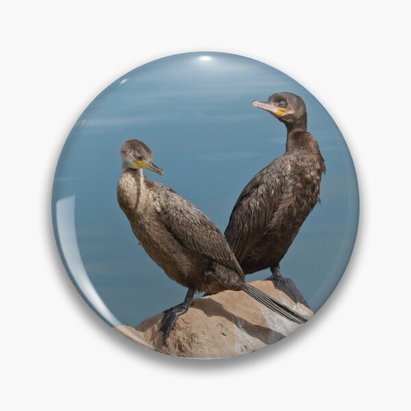Item preview, Neotropic Cormorant Pair designed and sold by Jeff Goulden Photography.